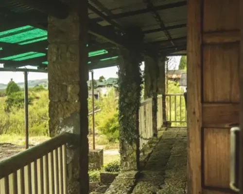 Japang room at Saimika Resort Cherrapunji