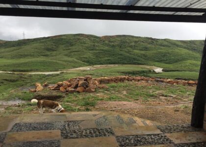 Premium luxury room interior at Saimika Resort Meghalaya