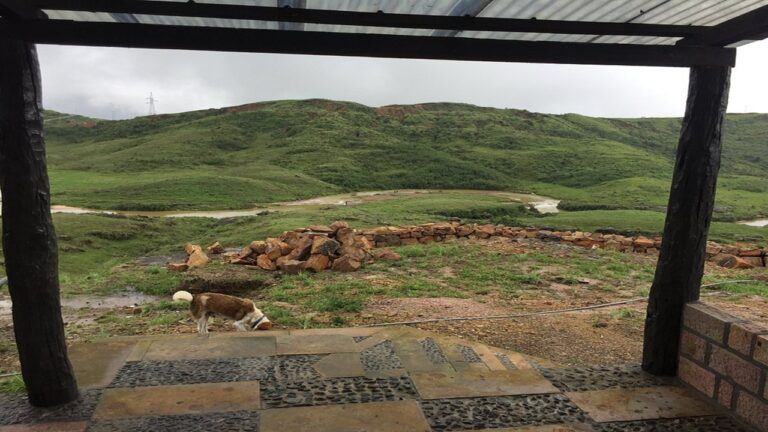 Best Time to Visit Saimika Resort Cherrapunji Meghalaya for a Memorable Vacation